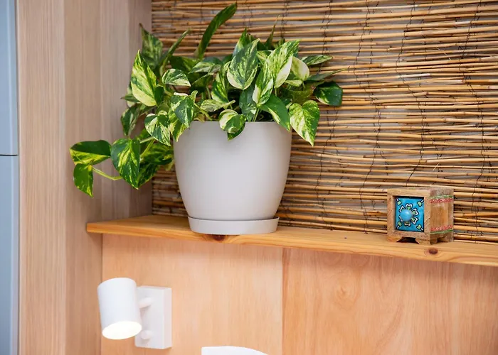 Fiesta Y Siesta * Puerto del Rosario (Fuerteventura)