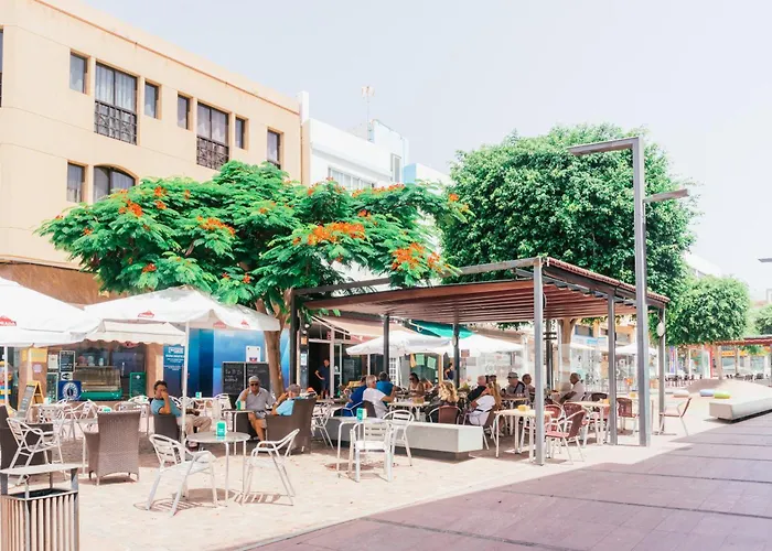 Fiesta Y Siesta Apartment