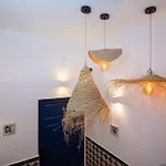 Fiesta Y Siesta