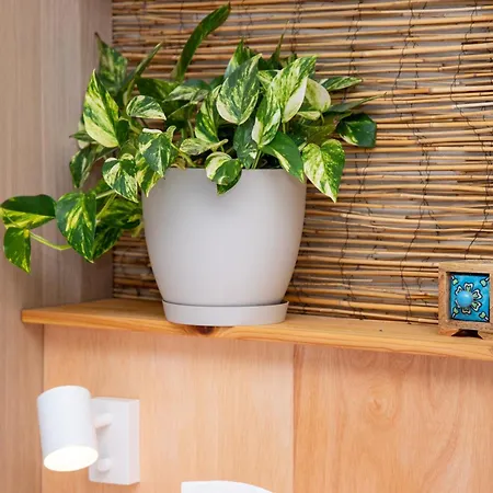 Fiesta Y Siesta * Puerto del Rosario